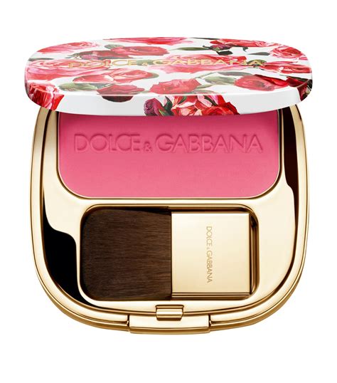 dolce gabbana rose blush|dolce gabbana rose perfume.